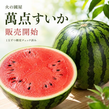 【萬点スイカ】西瓜（すいか） 糖度保証  1玉（サイズL〜3Lになります／大きさの選択はできません）
