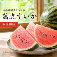 【萬点スイカ】西瓜（すいか） 糖度保証  1玉（サイズL〜3Lになります／大きさの選択はできません）