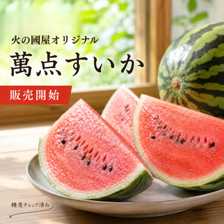 【萬点スイカ】西瓜（すいか） 糖度保証  1玉（サイズL〜3Lになります／大きさの選択はできません）