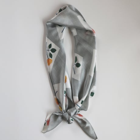 scarf <barbara> c/#gy