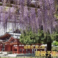 大仏造立費寄進