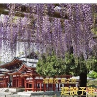 大仏殿建立寄進 大口