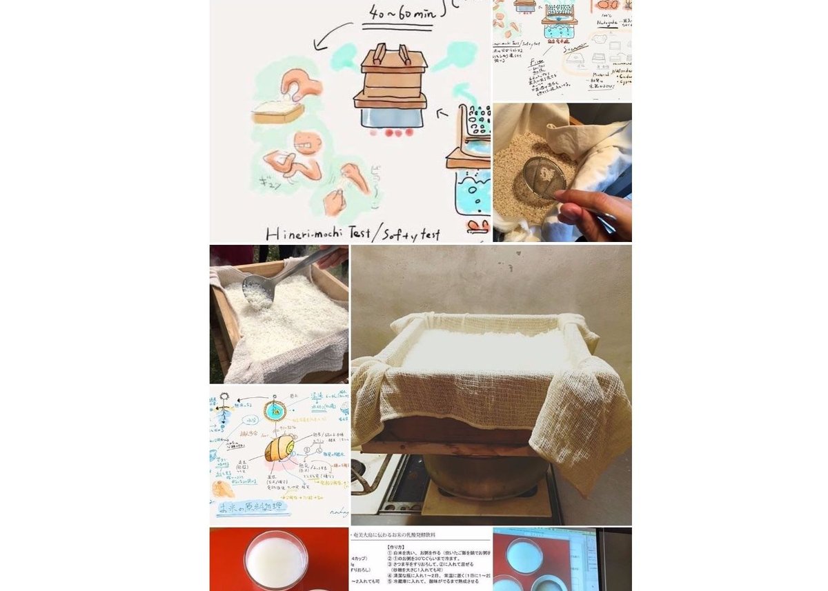 麹の学校｜月謝 | 麹の学校 online store