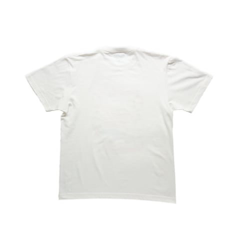 BIRDS T-SHIRTS