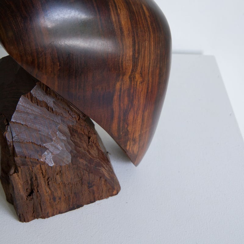 Wooden bird sculpture | pacificacollectivesSTORE