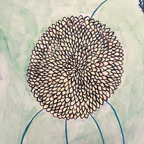 Johanna Jackson Drawing ②