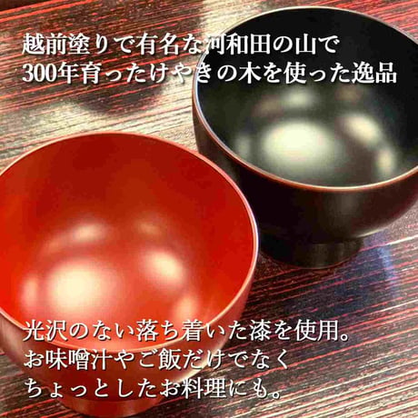 やまと塗り合鹿椀（溜・古代朱）