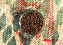 Colombia （City Roasted）