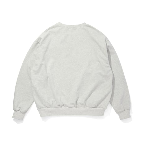College Sweat Shirt