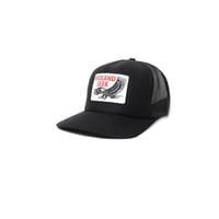Born Free Baseball Cap | HIDE AND SEEK Official
