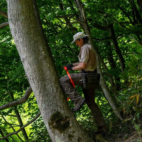 Hokkaido Maple House　北海道メープルサポーター