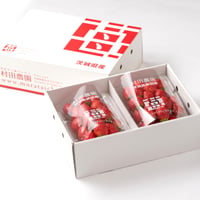 村田さん家のとちおとめ　特選 小／2パック（送料込み）