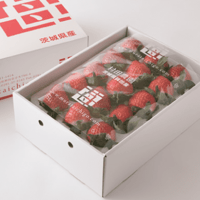 村田さん家のいちご　特選ギフト 12粒or15粒／2箱（送料込み）