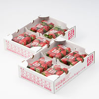 村田さん家のとちおとめ　特選 大／8パック（送料込み）