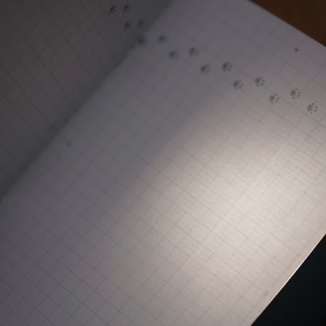 ダイアログノートプレミアム（3冊セット）｜にゃいあろぐのーと2025（方眼）