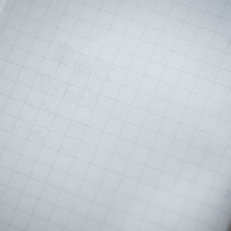 限定版ダイアログノート「カモフラージュ」（3冊セット）｜DN001（方眼）