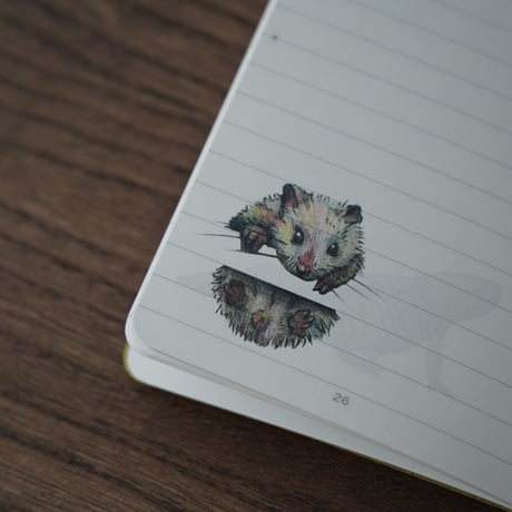ダイアログノートアート（3冊セット）｜罫線で遊ぶ動物（横罫）