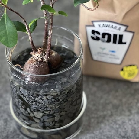 kawara soil / 瓦ソイル（1.5kg）