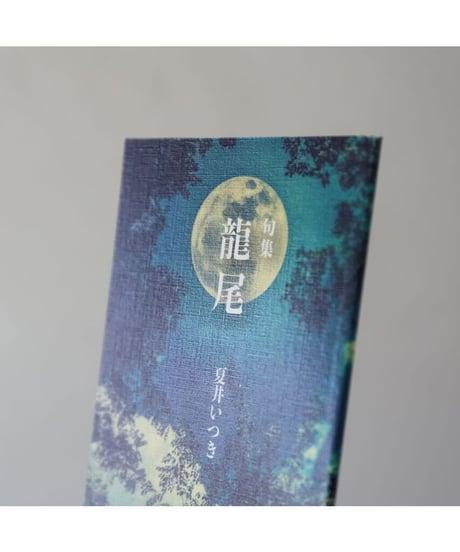 句集『龍尾』　著者/夏井いつき