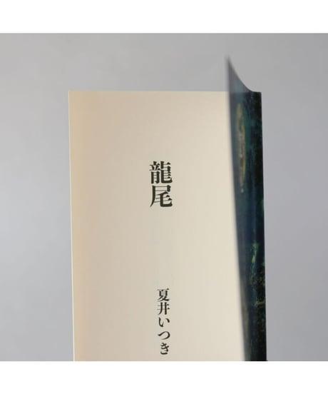 句集『龍尾』　著者/夏井いつき