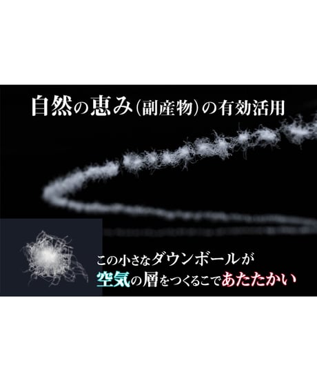 再販不可【SAMPLE品／1着限定】10,000円お得！ THE WISDOM DOWN PARKA 最強手ぶらダウンジャケット NAVY