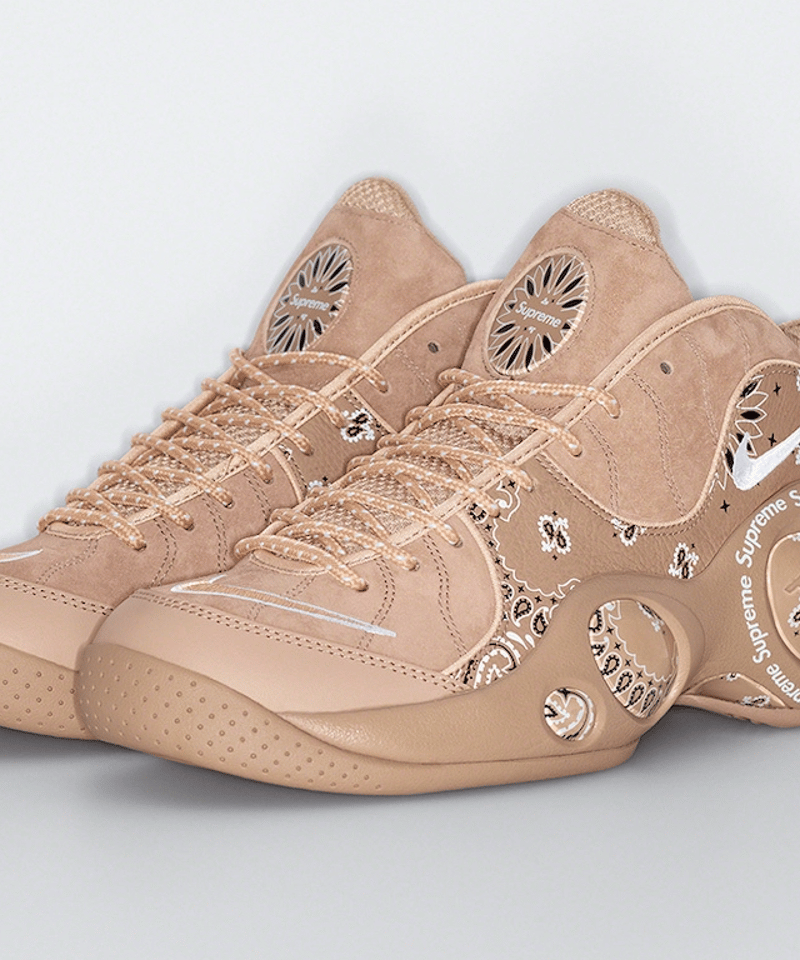 送料込/最安値】新品・2022新作 NIKE AIR ZOOM FLIGHT 95 SP 