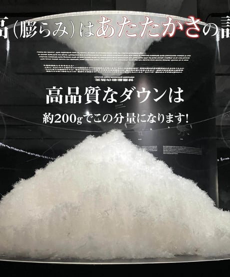 完売御礼・再販不可【1着限定】7,300円お得 SAMPLE品 THE WISDOM DOWN PARKA 最強手ぶらダウンジャケット BEIGE