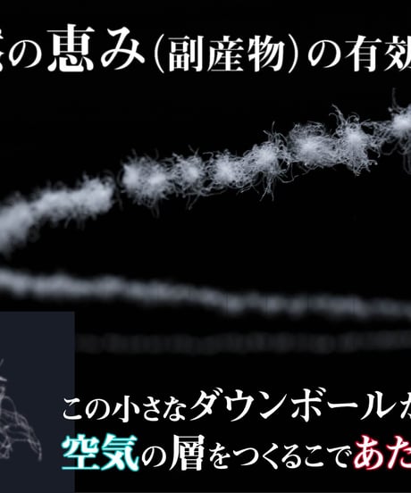 完売御礼・再販不可【1着限定】7,300円お得 SAMPLE品 THE WISDOM DOWN PARKA 最強手ぶらダウンジャケット BEIGE
