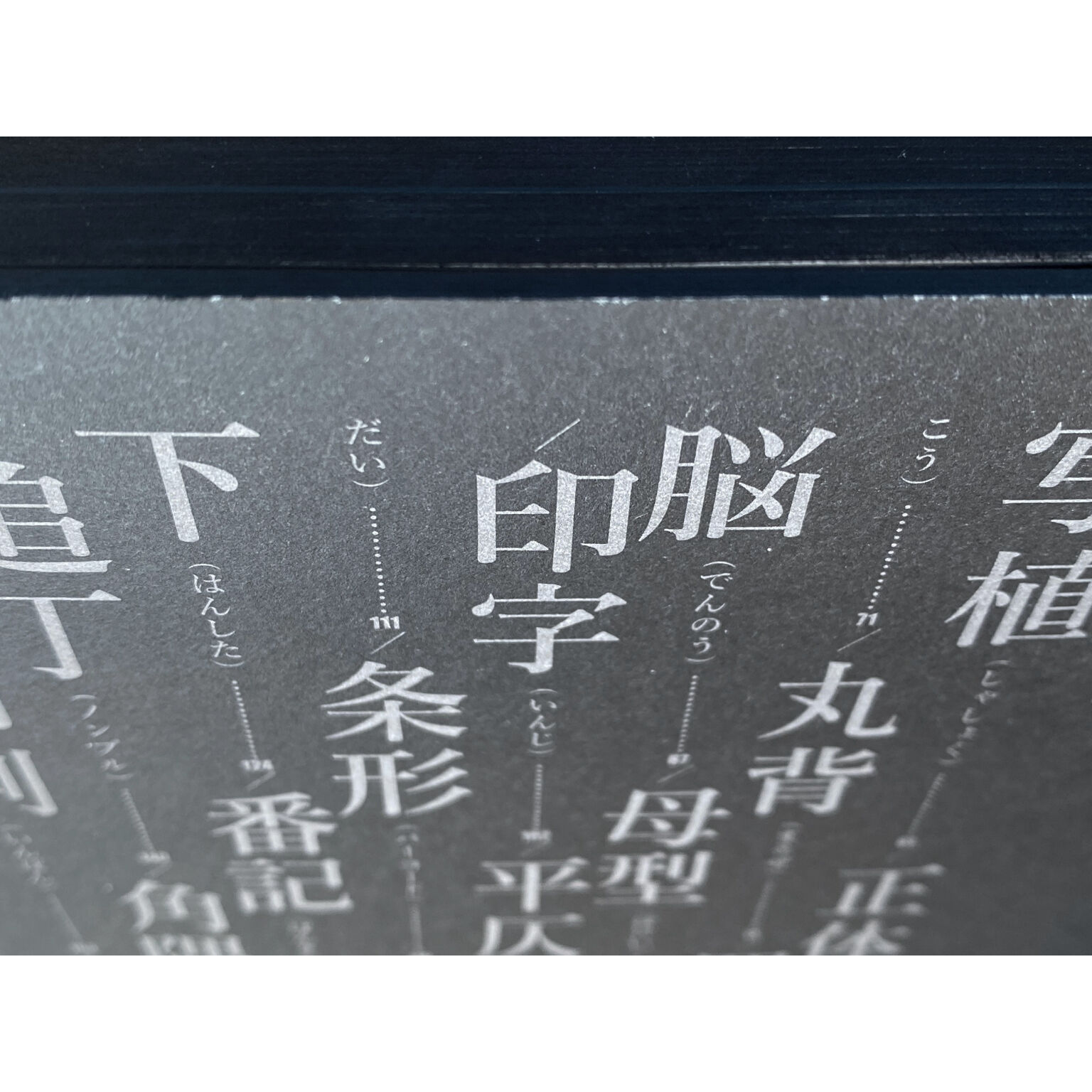 西野嘉章『書姿考――拙著造本篇』（残部少数） | いぬのせなか座