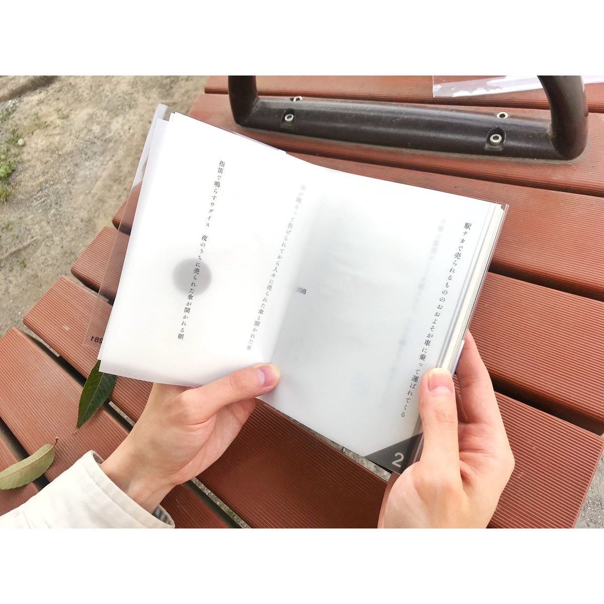 光と私語』特製ペーパー「雷乃発声／区境を越える」 | いぬのせなか座