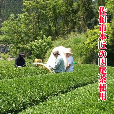 おおいた　すきっ茶（8個入り）