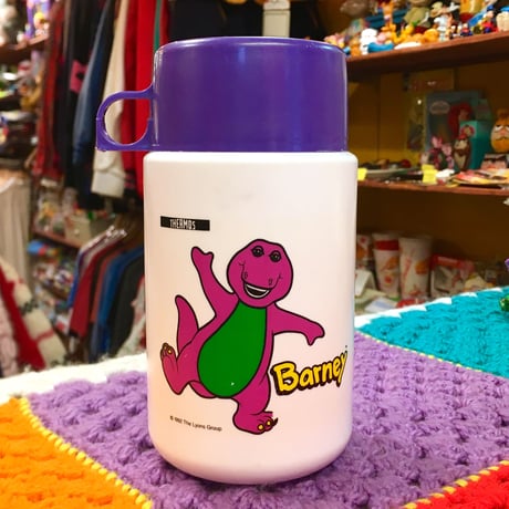 Barney Thermos Water Bottle