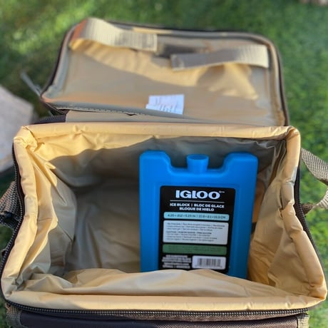 IGLOO「RealTree soft cooler 6can」
