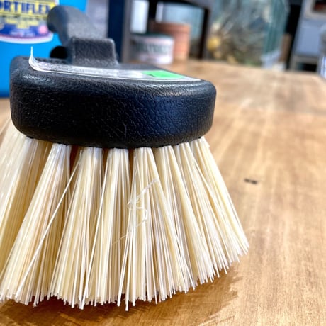 HARPER「utility brush 8inch」