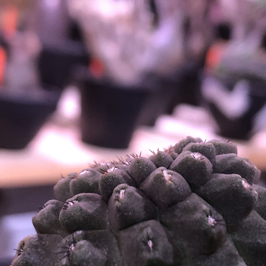 5e7c7bbbe20b04388adcb550