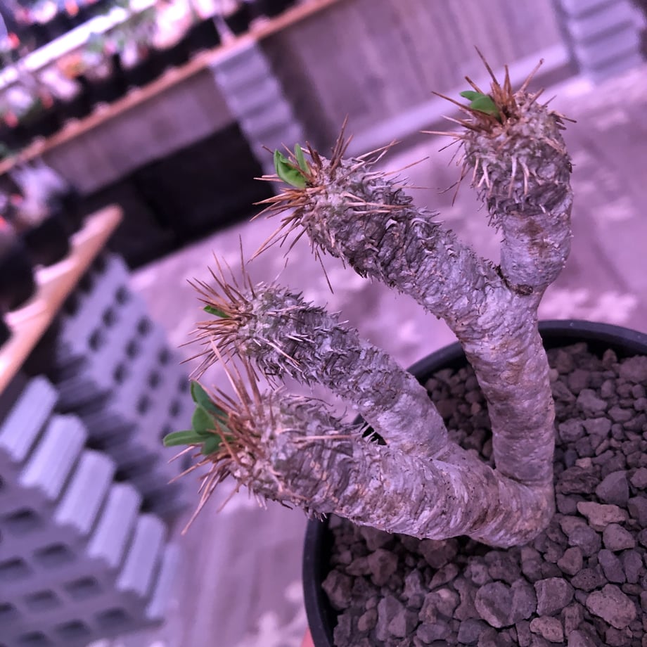 5f706af04b08391e1b09f31d