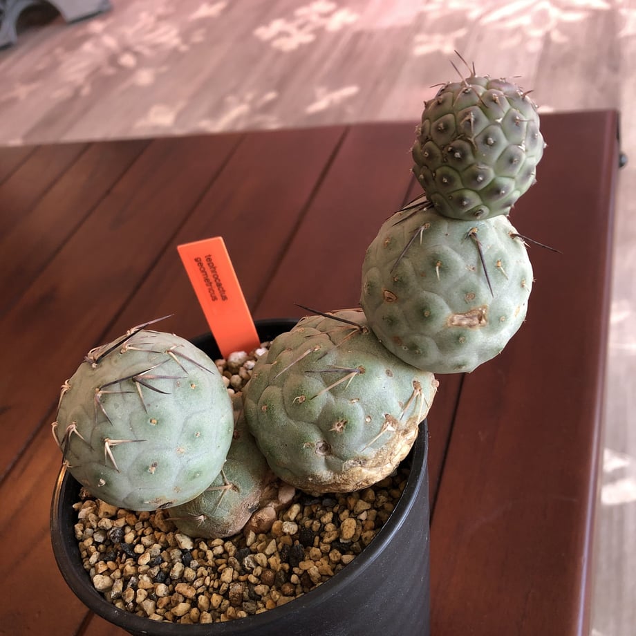 5ce78687d211bf01e6402d9f
