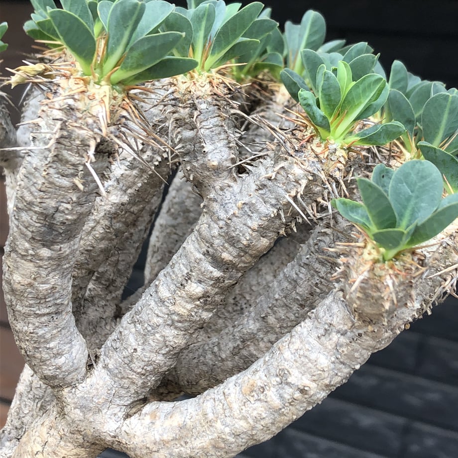 6108bb2bf604a959f5c836dc