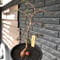 operculicarya  pachypus  littmon  seed🌱 《6年株》※幹も太くなり始め株元ボコボコ感も強き丈の締まったパキプス※mad black pot植え