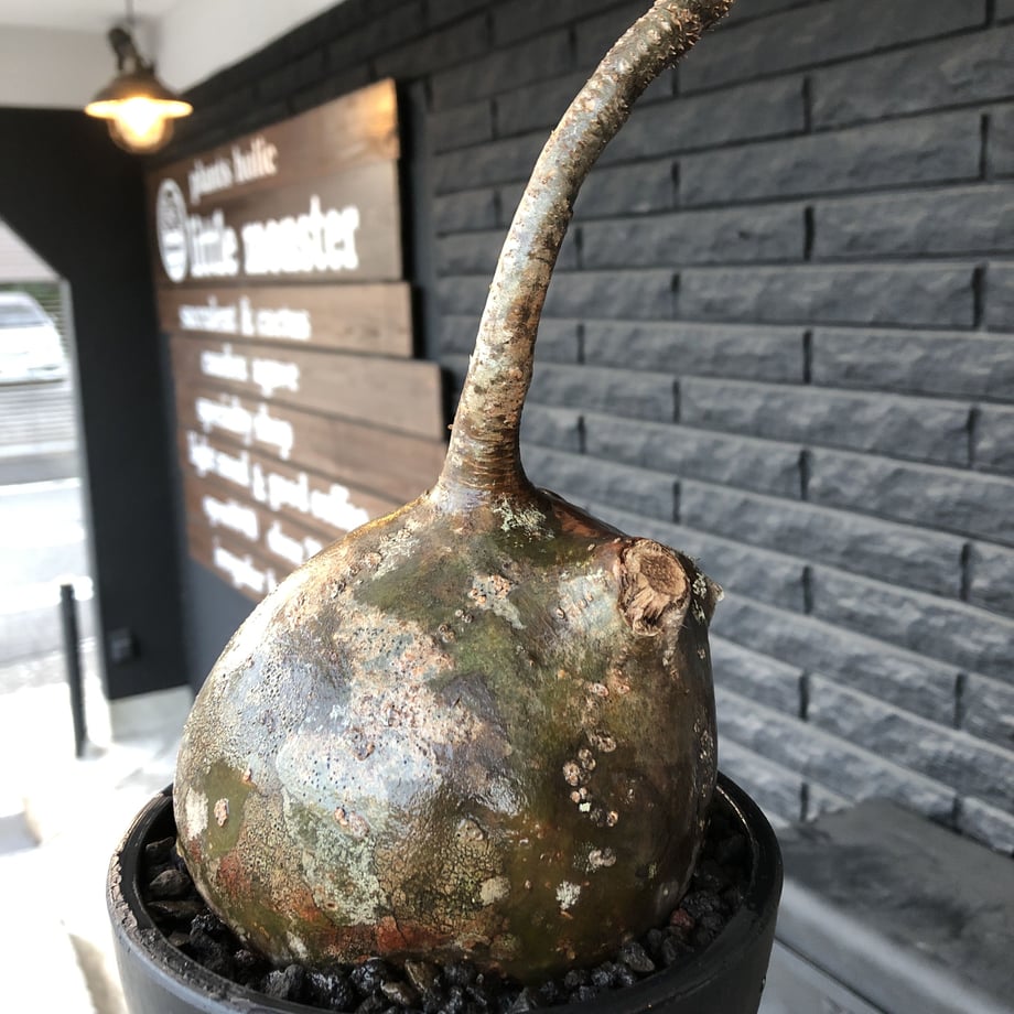 5f325d79d3f16719ae7835c2