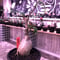 packypodium  succulentum《大きめS size》現地球発根済株‼︎※既にミニチュアにしただけの良き装い‼︎※mad black pot植え