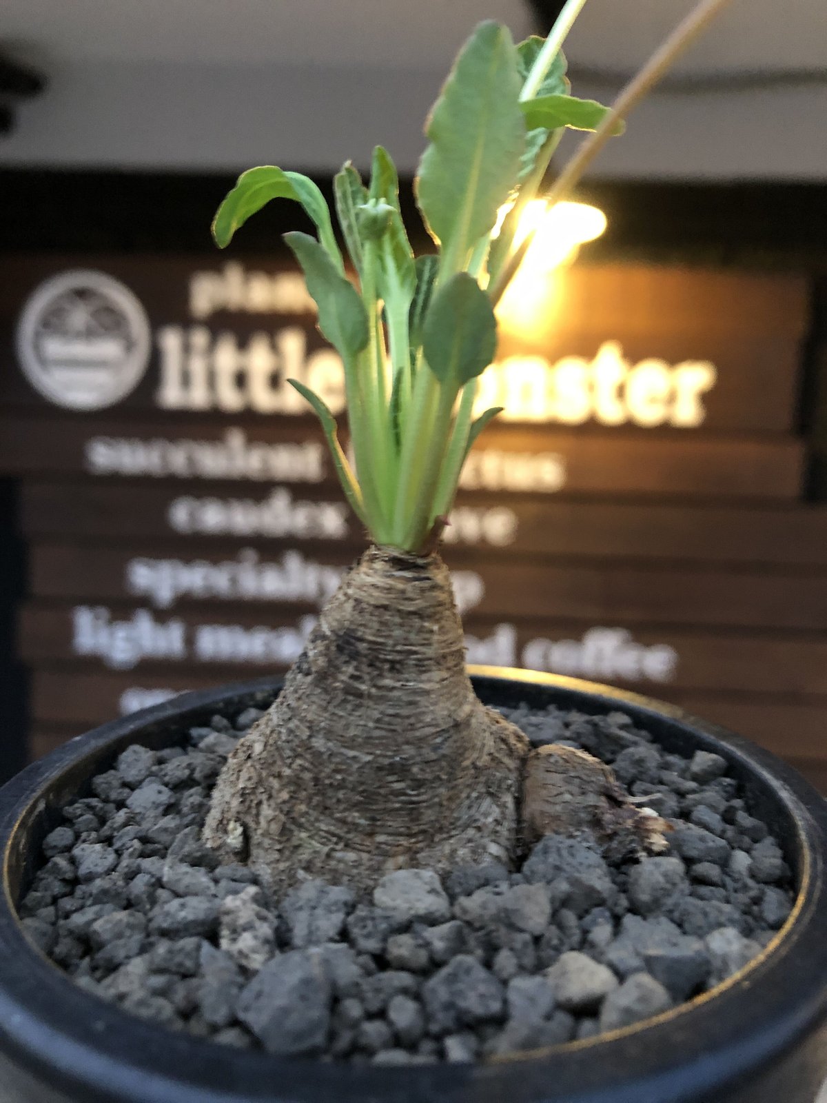 【新ダイワ】防塵カッターB18NLL-F（新品） 新ダイワ】防塵カッターB18NLL-F（新品）