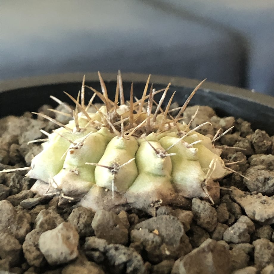 5f715d63fbe5b55dfaf09314