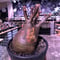 packypodium  gracilius《大きめM  size》※現地球発根済※渋い現地焼けとぼってり樹形のトトログラキ‼︎短枝枝数多く良きbalance株‼︎※mad black pot植え