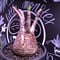 packypodium  gracilius 赤肌 《M size》  現地球  発根済み株   mad black pot植え（限定①株）