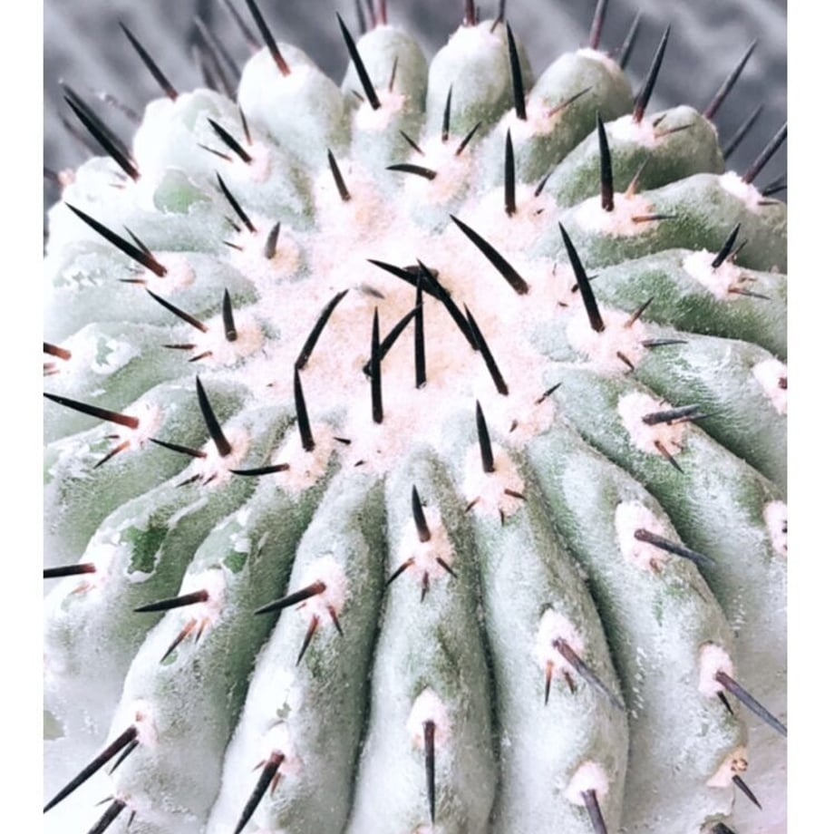 60b5d27b0e2403764bd1d0c2