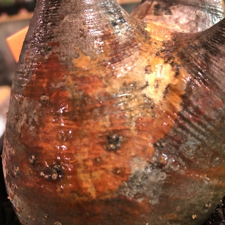 packypodium  gracilius《L size》※現地球発根済株※大変、美術的インテリア性も高く、両A面で現地焼けの一味プラスのオススメ株‼︎※mad black bowl pot植え