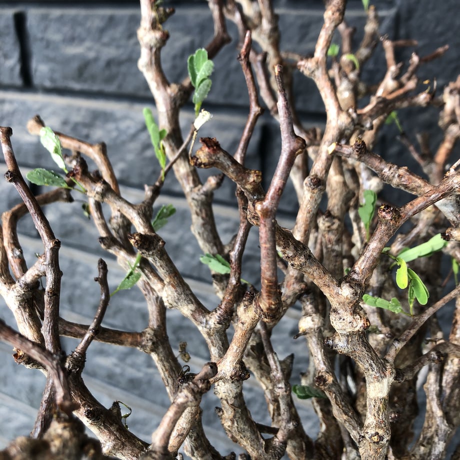 5e52046cc78a536128418077