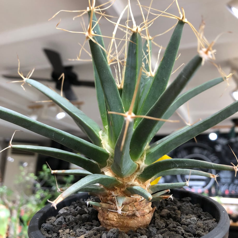 68aa7aeb1886eb2010e5ba53