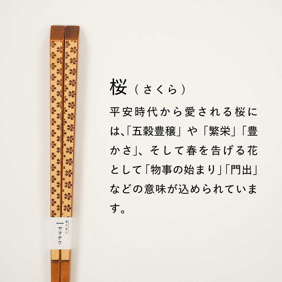 5c30517ec3976c258e4e89df